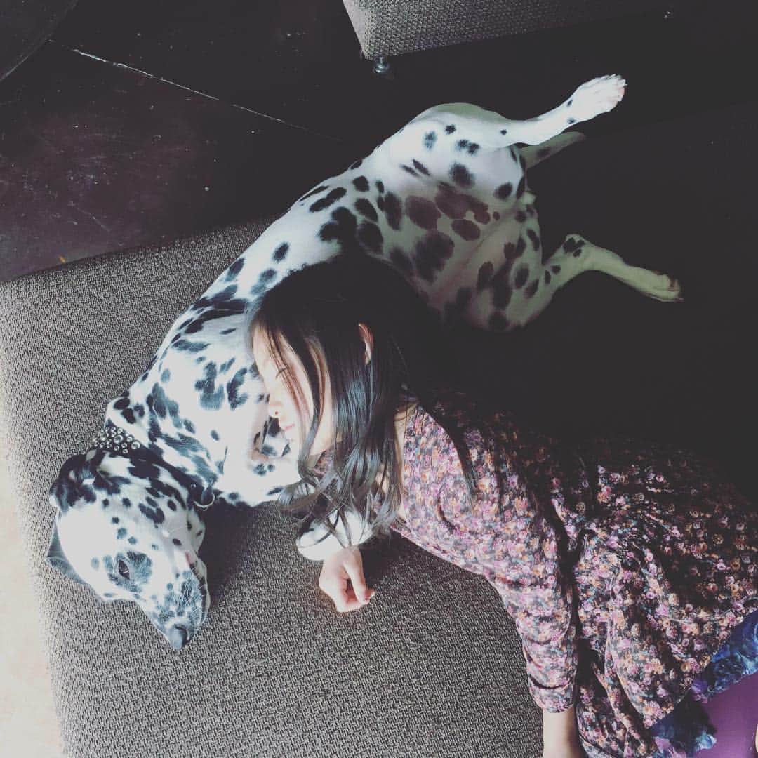 高岡早紀 さんのインスタグラム写真 - (高岡早紀 Instagram)「久しぶりに自宅でのんびりと。。 #娘 #dalmatian #なかよし」2月24日 22時44分 - saki_takaoka