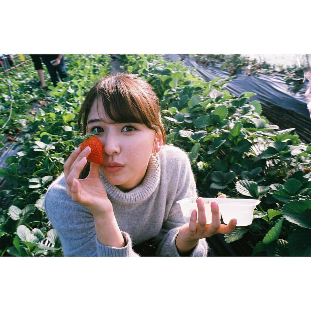 芳根京子さんのインスタグラム写真 - (芳根京子Instagram)「そろそろこの日のお話 ブログに書こうと思います。  ね、しおりん。笑  #film #今回の狩りは #いちご狩り  #どっちが先にインスタあげるか #競い合い  #競い合ってるなら #次の日にでもすぐあげなさいってね。笑」2月24日 23時26分 - yoshinekyoko