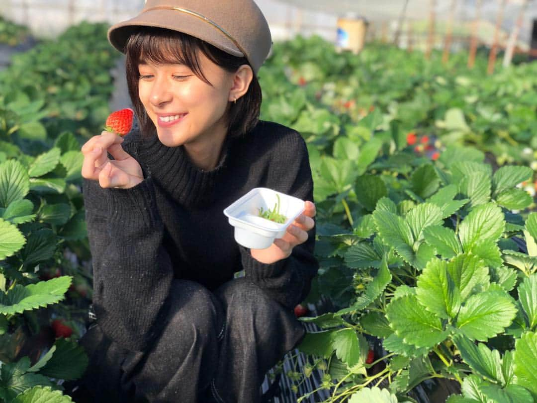 玉井詩織さんのインスタグラム写真 - (玉井詩織Instagram)「いつかのお休み。 芳根さんと箱根の旅へ☺️ いちご狩って温泉入って幸せなお休みでした♡  #きょんちゃん #またお互いインスタあげるっていって1ヶ月以上経過 #また狩りに行きました」2月24日 23時29分 - shioritamai_official