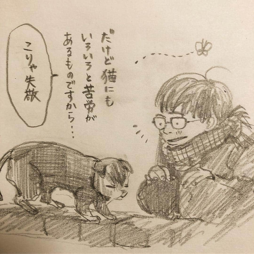 いとうさんのインスタグラム写真 - (いとうInstagram)「ラストスパートな受験生たち。  晴れの日に日向ぼっこしてる猫うらやましいなぁ〜…。 な、視線に気づいているであろう猫(´・ω・) #先週は公立高校入試の合格発表でした #受験日も緊張感あるけど発表日前のドキドキもなかなか #明日が永遠に来なきゃいいのに… #いややっぱりすごいはやさで過ぎてくれた方がいい… #と考えるうちに夜眠れなくなってヒツジを数え続けたけど #余計に目がさめる時もあります(´・ω・) #イトウハジメ #イトウ先生授業の時間です #美術学生イトウの青春 #放課後のオレンジ #イラスト #漫画」2月25日 8時08分 - itototoon