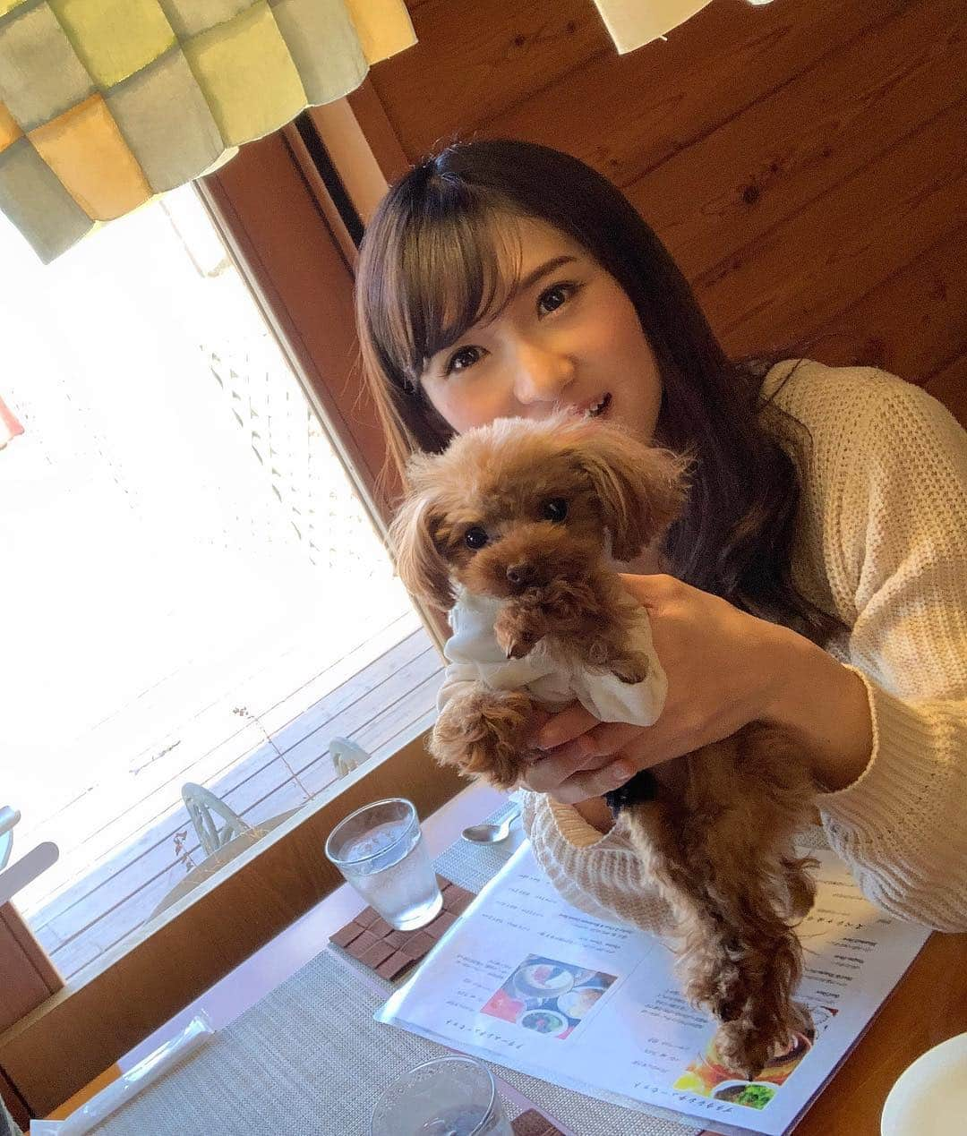 本城結実さんのインスタグラム写真 - (本城結実Instagram)「. . 犬と泊まれる山中湖のホテル カーロ・フォレスタ・エルフォ . 全4室でお部屋毎にテーマがあり 今回はハワイアンのお部屋を選択しました🌺 . お部屋のインテリアはオシャレで食事も全て美味しく、部屋には専用庭もついていてなんと富士山もチラッと見えます😳🗻 . 遊び疲れたワンコは爆睡(_ _).｡o○ . また暖かくなったら遊びに行きたいと思います . . #わんこ #わんことお出かけ #わんこのいる生活 #ペット#ペットok #山梨 #山梨県#山中湖 #犬好きな人と繋がりたい#富士山 #絶景 #日本の絶景 #いぬすたぐらむ #いぬのいる暮らし #エブリドッグ #といぷーどる #トイプードル #ティーカッププードル #犬すたぐらむ #カーロフォレスタ #カーロフォレスタエルフォ #カーログループ #caroforesta #caroforestaelfo #ペットと泊まれる宿 #ペットと泊まれるホテル #わんこと泊まれる宿#カーロリゾート#カーロフォレスタ山中湖 #カーロフォレスタ山中湖エルフォ」2月25日 8時59分 - yumihonjo_