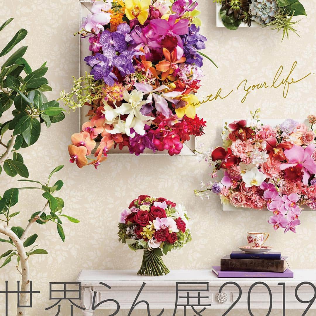 世界らん展日本大賞のインスタグラム：「「世界らん展2019 -花と緑の祭典-」は、 2月22日(金)をもちまして閉幕しました。 ・ ご来場ありがとうございました🌸 ・ ・ #ボタニカルライフ  #世界らん展2019  #世界らん展  #蘭  #orchid  #orchids  #flowers  #花  #花のある暮らし #カメラ女子 #写真好きな人と繋がりたい  #写真を撮るのが好きな人と繋がりたい」