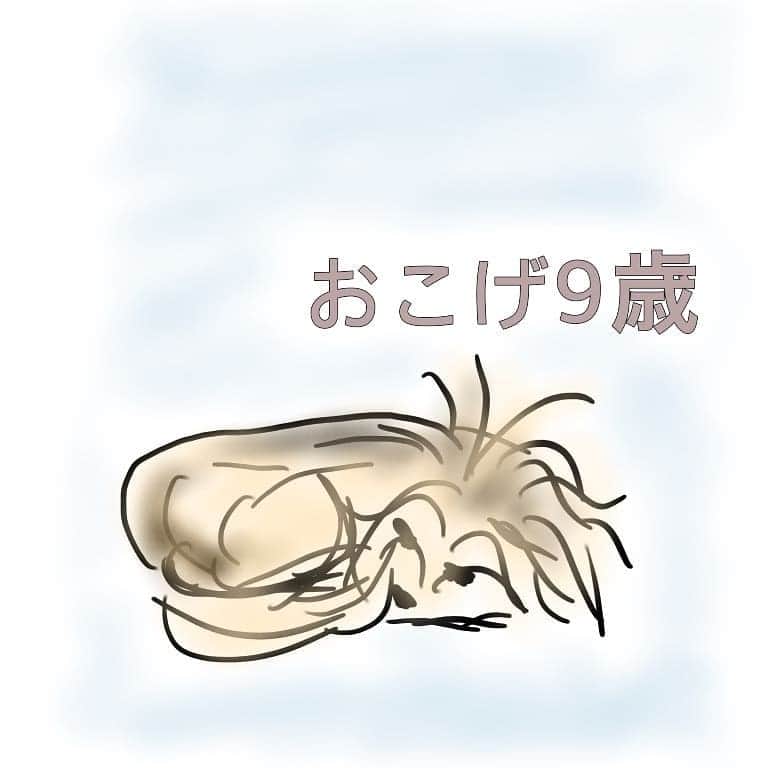 池田香織のインスタグラム：「リベンジ！  雑な性格が出てしまっているような。。。 #drawing  #dog」