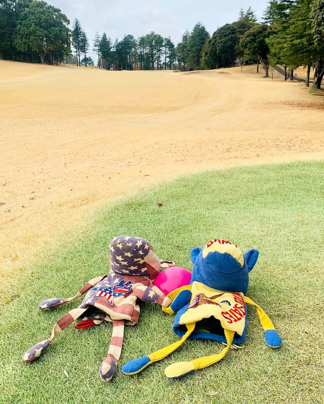 吉田玲奈さんのインスタグラム写真 - (吉田玲奈Instagram)「朝雨からの晴れ⛳️ 暑いくらい😵 コンペの為赤ティー🔴 42/46  88 #白梅 #花 #✿ #春はもうそこまで来てる #ゴルフ #ゴルフコンペ #赤から #ゴルフ女子 #ゴルフ大人女子 #beamsgolf #ビームスゴルフ  #callawaygolf #monzee #モンジー #ロバちゃん #新しいの欲しい #雨ゴルフ #昼から #ポカポカ陽気 #暑くて汗だく #ゴルフ日和  #42/46  #88  #1.5ラウンド #45  #石山愛子 #吉田玲奈 #reinagolf 🔴42/46 88  45」2月26日 0時25分 - reina.yoshida.ciel.1218