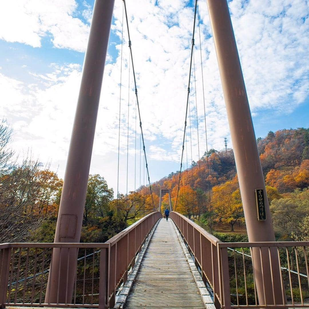 山人さんのインスタグラム写真 - (山人Instagram)「【秋】〈オロセの吊り橋〉カップル・夫婦旅行に取り入れたい。四季の濃い西和賀町。 [Autumn] Passing trough the bridge. ・  #西和賀町の四季 #吊り橋 #岩手 #bridge #オロセの吊り橋 #ライオン山 #吊り橋効果 #散步 #爽快 #迫力満点 #大自然 #綺麗 #美丽 #西和賀 #日本 #旅行 #岩手 #iwate #東北 #ryokan #酒店 #吊り橋巡り #吊り橋が好き #スリル満点 #溫泉」2月25日 18時36分 - yamado.official