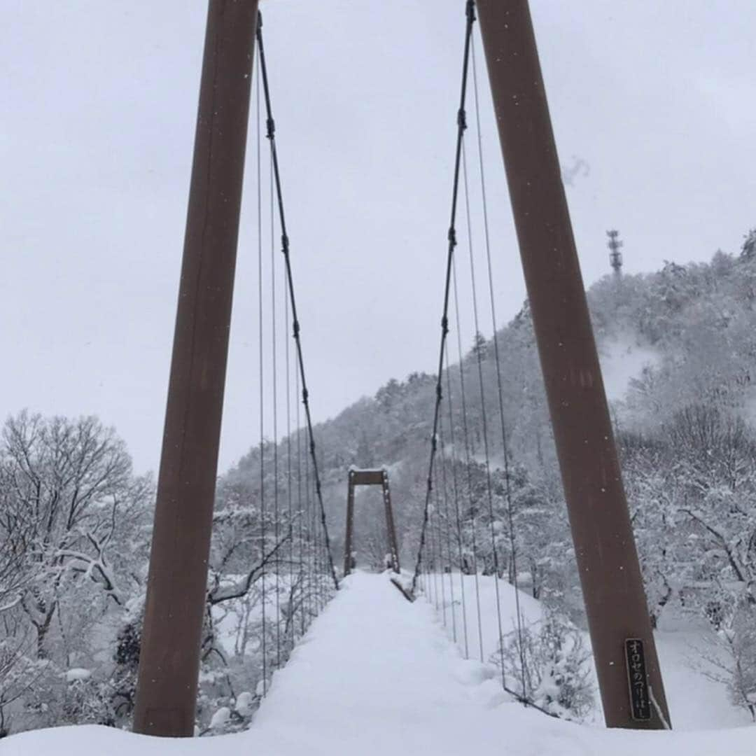 山人さんのインスタグラム写真 - (山人Instagram)「【秋】〈オロセの吊り橋〉カップル・夫婦旅行に取り入れたい。四季の濃い西和賀町。 [Autumn] Passing trough the bridge. ・  #西和賀町の四季 #吊り橋 #岩手 #bridge #オロセの吊り橋 #ライオン山 #吊り橋効果 #散步 #爽快 #迫力満点 #大自然 #綺麗 #美丽 #西和賀 #日本 #旅行 #岩手 #iwate #東北 #ryokan #酒店 #吊り橋巡り #吊り橋が好き #スリル満点 #溫泉」2月25日 18時36分 - yamado.official