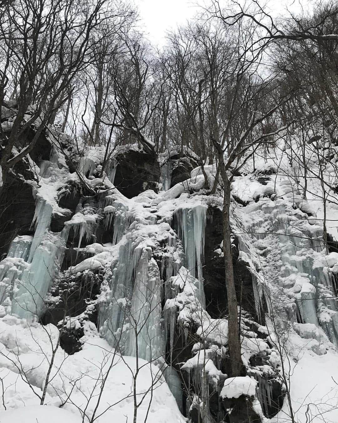 水原希子 さんのインスタグラム写真 - (水原希子 Instagram)「水が綺麗だから氷が透き通ってる🌬❄️✨」2月25日 19時16分 - i_am_kiko