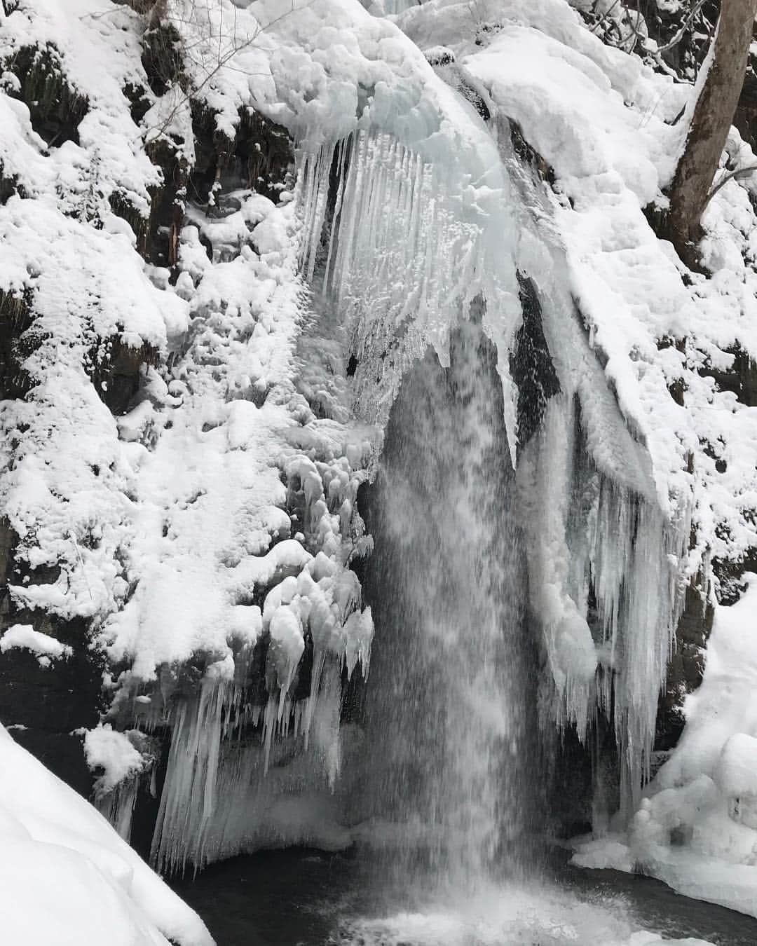 水原希子 さんのインスタグラム写真 - (水原希子 Instagram)「水が綺麗だから氷が透き通ってる🌬❄️✨」2月25日 19時16分 - i_am_kiko