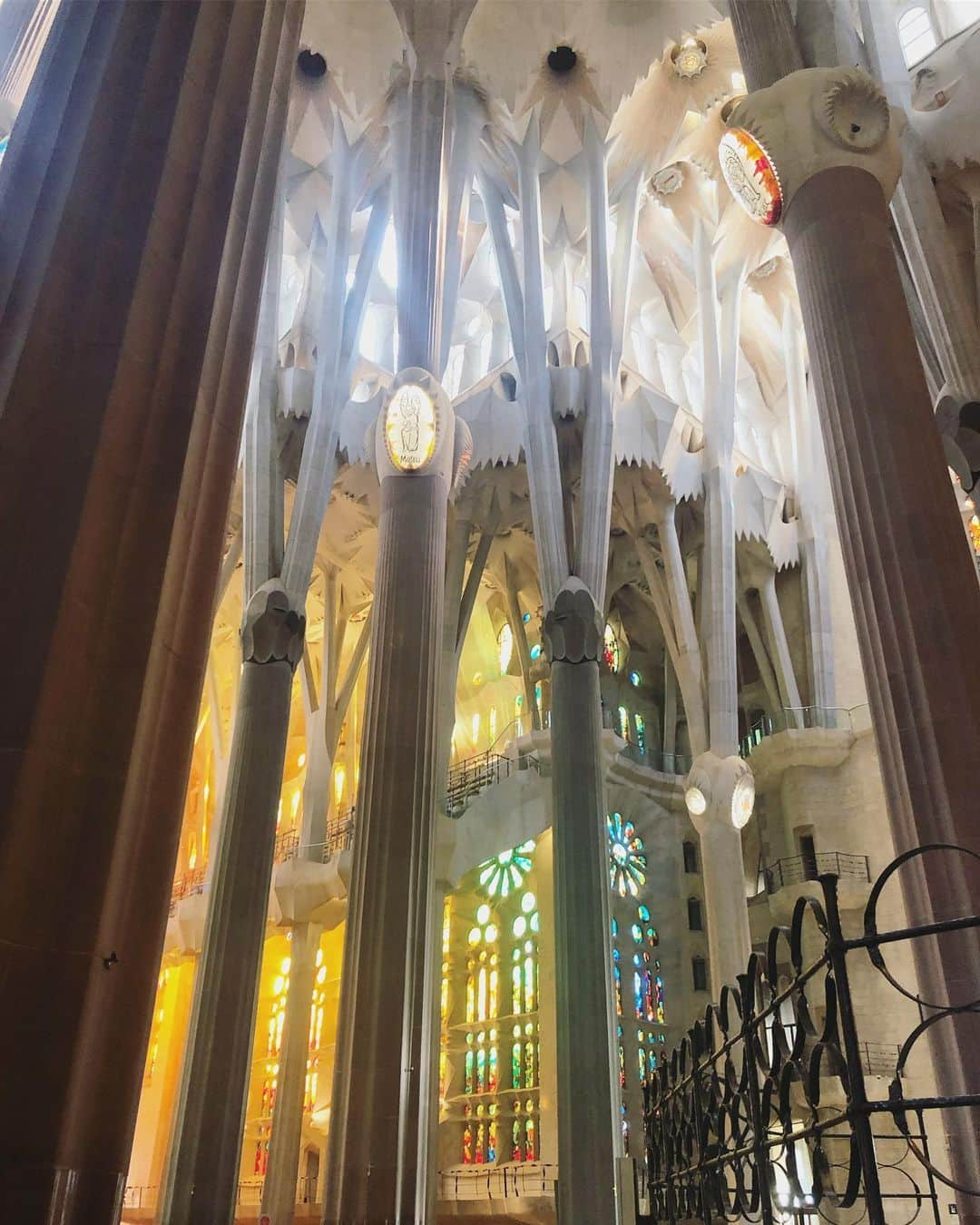 中村アンさんのインスタグラム写真 - (中村アンInstagram)「中に入るとまた違う世界が🏰✨ #sagradafamilia #サグラダファミリア」2月25日 20時10分 - cocoannne