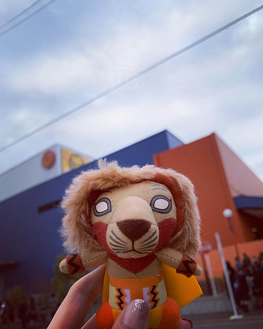 平野綾さんのインスタグラム写真 - (平野綾Instagram)「劇団四季『ライオンキング』祝20周年*･゜ﾟ✨･*:.｡.:*･🦁㊗️'･*:.｡:*･✨゜ﾟ･* 先日母と20年ぶりに劇団四季の『ライオンキング』を観てきました‼︎🦁⭐️✨ ✴︎ 家族３人で観に行った日本初演。 めちゃイケを見てハイエナダンスを練習した子供の頃←ムリw 思い出がたくさん蘇りました✨ ✴︎ 2階席が学生の貸切ですごく盛り上がっていて！ 学生の頃に劇団四季観せてもらえるなんて羨ましい😫💕 未来のミュージカル俳優があの中から生まれたりするのかなぁ💓 前の席の子供も目がキラキラキョロキョロ🤩✨ 劇場のテンションが凄く高くてみんなワクワクしていて、コレなのミュージカルの好きなところ‼︎✨✨✨ そんな雰囲気に感化され、プロローグの ♪サークル・オブ・ライフから泣きそうになる私🤣✨ ✴︎ 20年前にいた父が今隣にいないのはシンバの境遇と重なって、ムファサの幻に諭されるシーンは今までと感じ方が変わりました。 噛みしめるように。 刻み込むように。 Remember who you are...🦁✨ 星になって見守ってくれていますね！ ✴︎ 留学中、友達になった人がたまたまライオンキングのスタッフさんで、バックステージを見学させてもらった写真もくっつけておきました⭐️ Times Squareでプライドロックごっこした時の写真も笑笑💕 ✴︎ ✴︎ ✴︎ #劇団四季ライオンキング  #劇団四季 #ライオンキング #lionking  #劇団四季ライオンキング20周年  #broadway #timessquare #nyc  #rememberwhoyouare  #ayahirano #平野綾」2月25日 22時10分 - a_ya.hirano