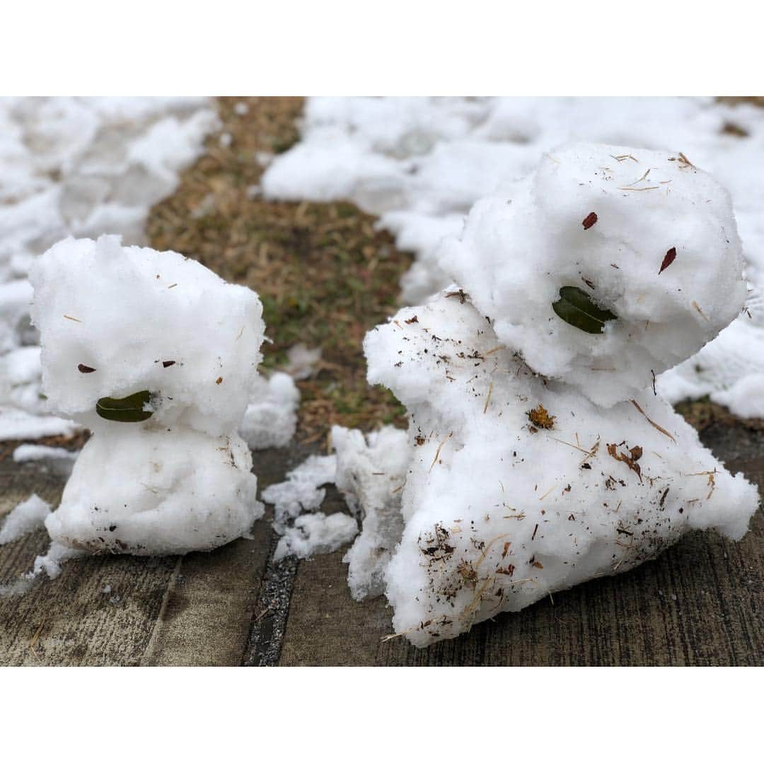 鈴川絢子さんのインスタグラム写真 - (鈴川絢子Instagram)「結構前の雪の日❄️」2月26日 3時24分 - suzukawaayako