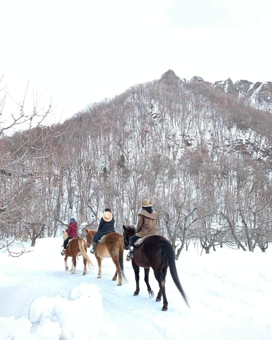 横田ひかるさんのインスタグラム写真 - (横田ひかるInstagram)「真っ白な雪山で乗馬🐴✨ 賢くて可愛かったー  楽しかったなぁ  #乗馬 #北海道」2月26日 21時53分 - _rncn950805