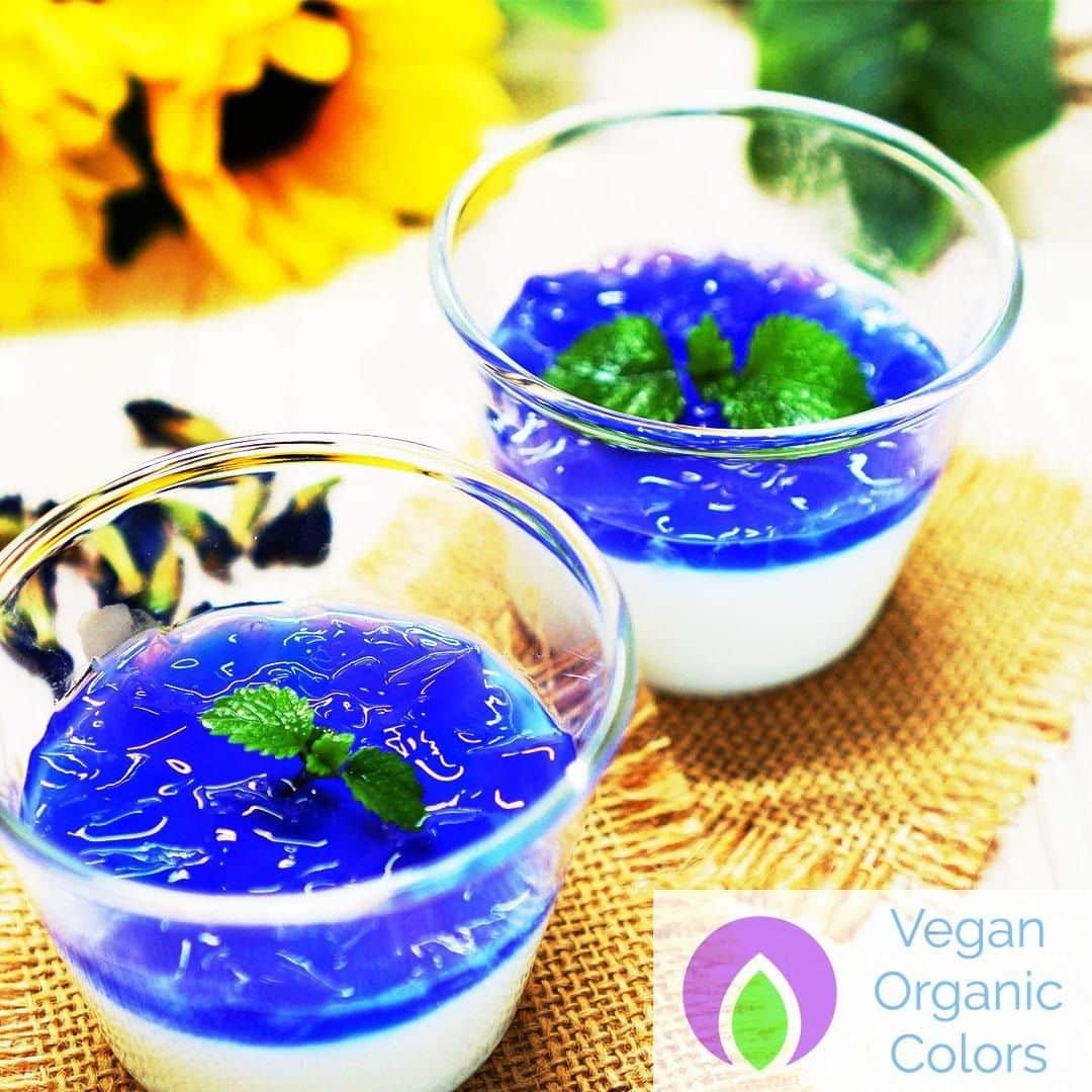 Vegan Organic Colorsのインスタグラム：「Natural Blue panna cotta💙!! This legit color is created by #Butterfly pea Natural but stunning color🌿😍💯 Why keep using Artifical colors🎨 while they are known to has toxicity to our human body and created by coal oil?😞☠☠☠ #Changeblue #confectionery #confectionary #confection #confections #confectioner #confectionerie #Confectioners #confectioneries #confectionerssugar #confectioneryconnection #confectionerytable #confectionsboutiqueandbags #confectionsurmesure #confectionsonthecoast #confectionsforanyoccasion #confectionaryartist #confectionoffsilk #confectionerycaroline #confectionaryarts #confectionarysugar #confectioneryandbakery」
