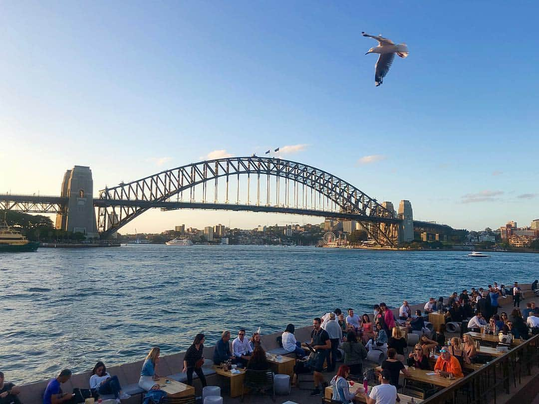 MIKAさんのインスタグラム写真 - (MIKAInstagram)「💛🧡💙😇✨ . . . #Sydney #harbourbridge #australia #sunset #goodday #餌持ってないのにあげるふりして近づいてごめんね鳥さん🕊😭」2月27日 8時16分 - cjd_mika