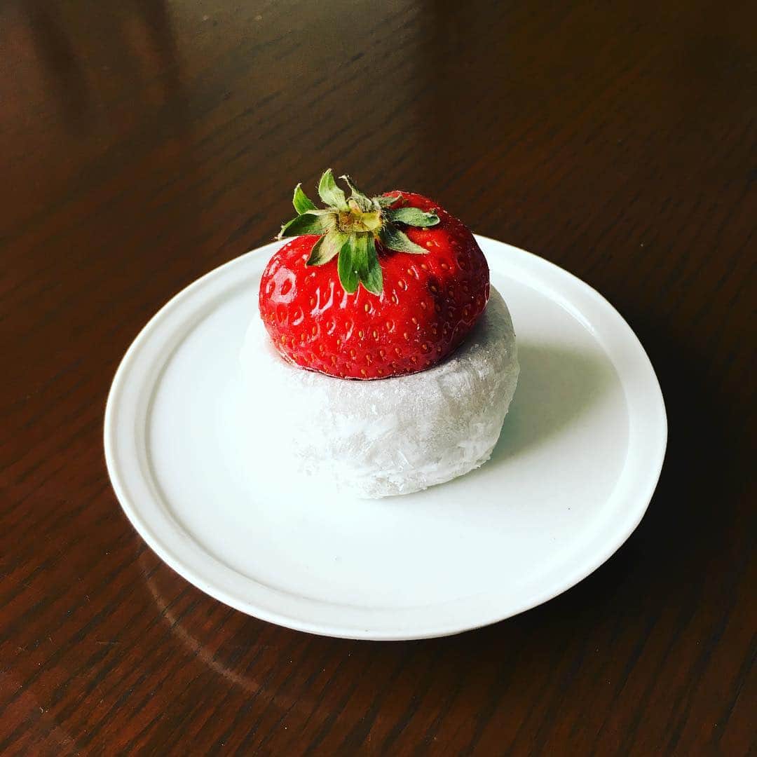 志摩有子さんのインスタグラム写真 - (志摩有子Instagram)「GM。おめざにショートケーキのようないちご大福🍓 可愛くて美味しくて朝からうきうき。 #おめざ #いちご大福 #共楽堂 #大いちご大福 #スジャありがとう」2月27日 9時54分 - ariko418
