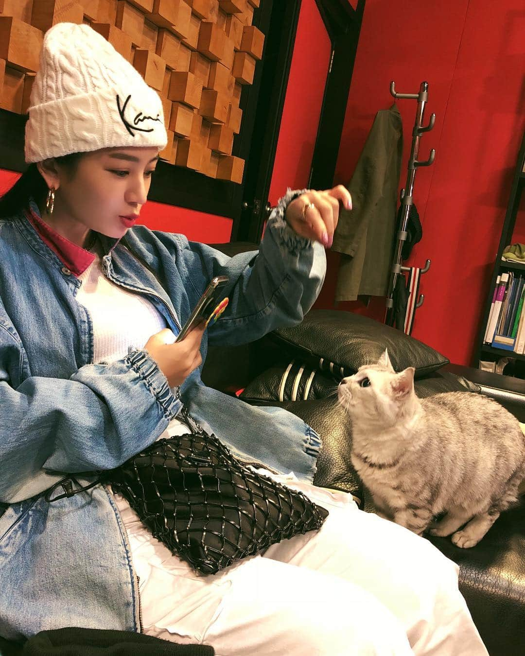 megbabyさんのインスタグラム写真 - (megbabyInstagram)「냥이 뭐한다냥~🐱💕 かわいすぎるよぉー😭💕💕 #냥스타그램」2月27日 12時37分 - _megbaby_