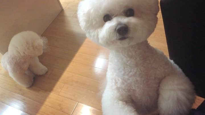 シン・セギョンのインスタグラム：「까까 오 분 전에 줬잖아」
