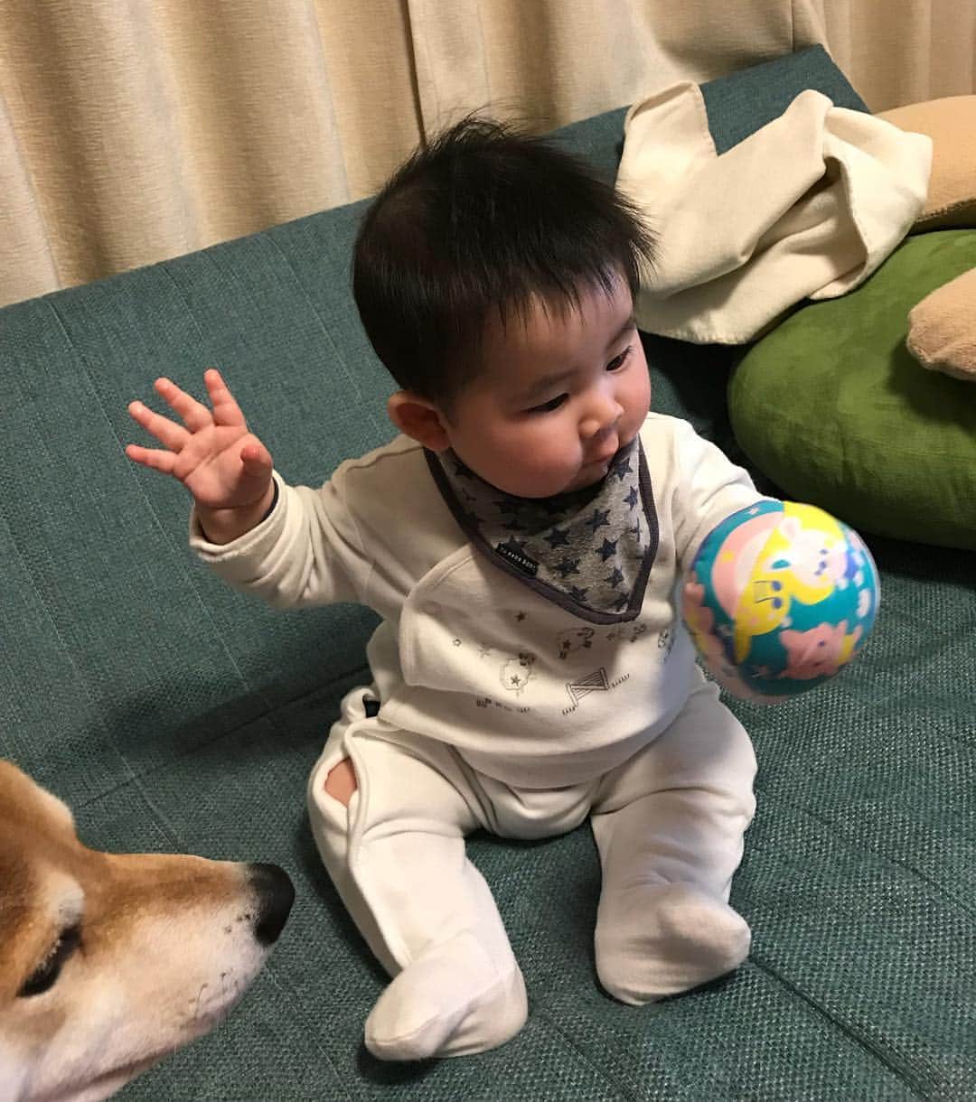 高橋みゆきのインスタグラム：「サーブ打ちま〜す🏐💨笑 #クラ吉の狙ってる感が凄い」
