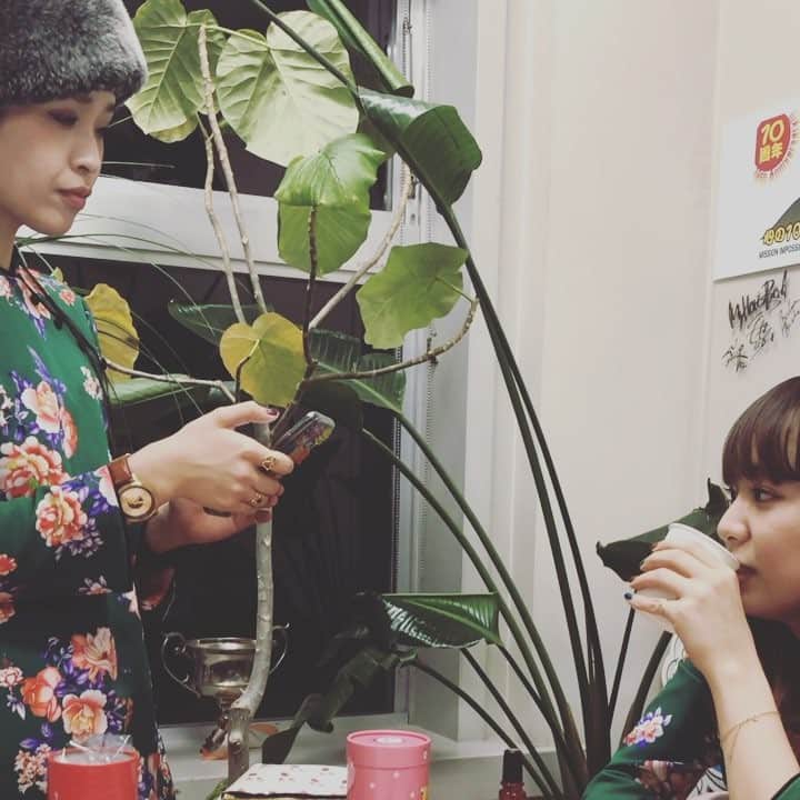 チャラン・ポ・ランタンのインスタグラム