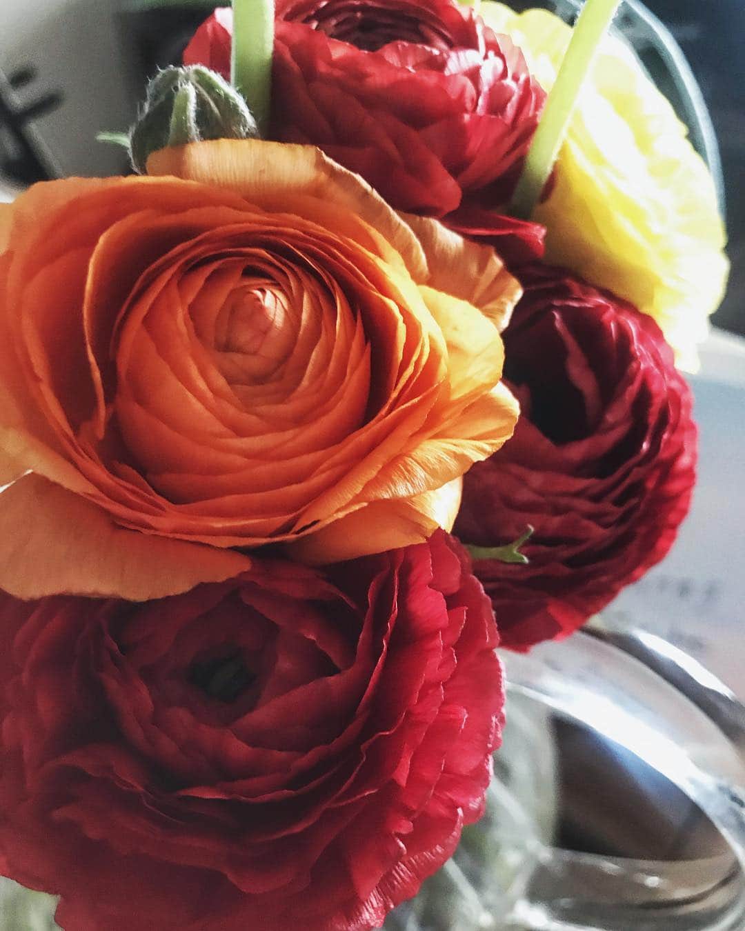 のインスタグラム：「素敵な夜を🌹 ・ #whiteday #love #happy #life #thankyou #instagood」