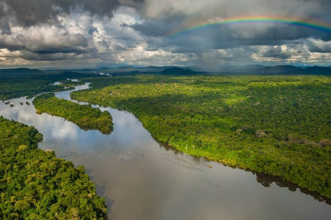 National Geographic Travelさんのインスタグラム写真 - (National Geographic TravelInstagram)「Photo by @CristinaMittemeier | While flying to the Kayapó Village of Aukre, I took this aerial shot of the astonishingly beautiful Amazonian landscape. With a storm approaching, a vibrant rainbow stretched over lush tropical rainforest which frames the Xingú River for thousands of miles. This meandering river eventually flows into the main branch of the Amazon River and is home to thousands of Indigenous people and an array of irreplaceable wildlife and ecosystems. #FollowMe at @CristinaMittermeier and explore my feed for more photos from this region. #Brazil #Amazon #rainbow #biodiversity」3月14日 19時02分 - natgeotravel