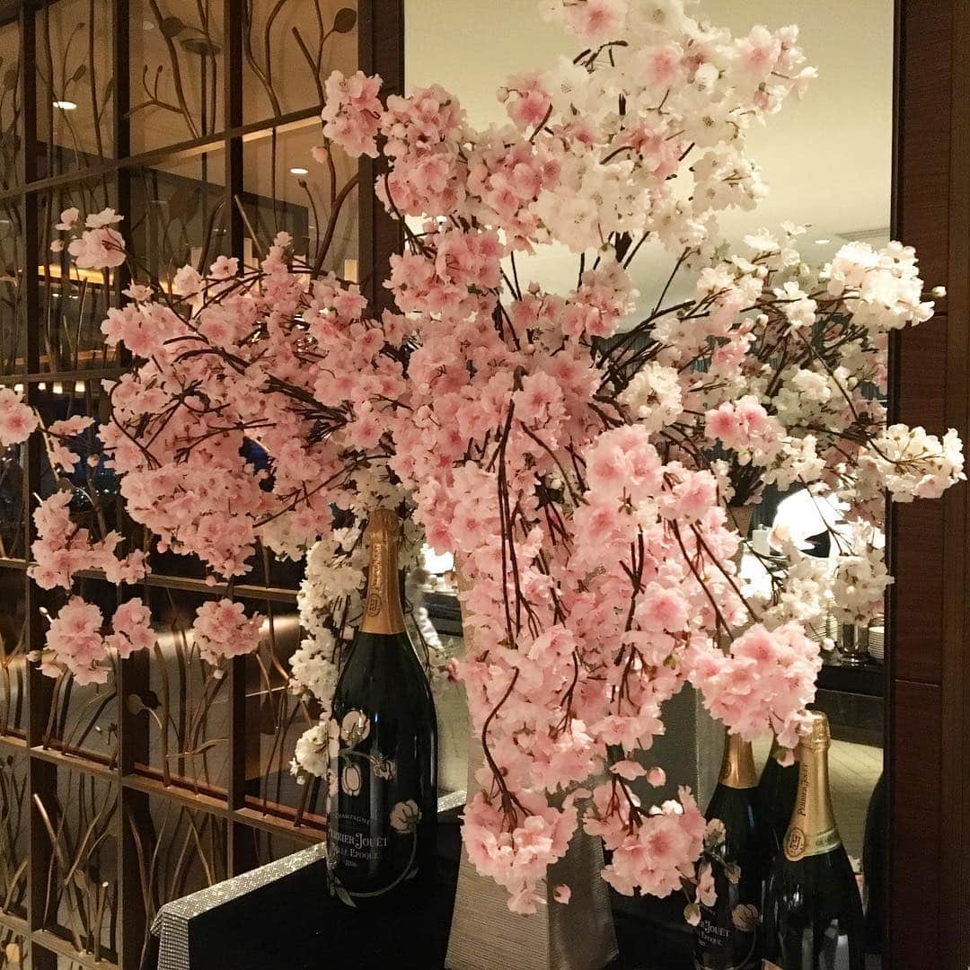 InterContinental Tokyo Bayさんのインスタグラム写真 - (InterContinental Tokyo BayInstagram)「いよいよ東京も来週には桜が開花するようですね🌸 シェフズライブキッチンのデザートコーナーでは、桜&ストロベリーをテーマにしたスイーツを提供中です🍰🍦🍓🌸 近隣の旧芝離宮庭園や浜離宮庭園でのお花見の前後や、水上バスでのお花見の前に、ぜひホテルブッフェにお立ち寄りください🏨 . #intercontinental  #ホテルインターコンチネンタル東京ベイ #インターコンチネンタル東京ベイ #Intercontinentaltokyobay #シェフズライブキッチン#chefslivekitchen #ホテルビュッフェ#食べ放題 #散策  #桜 #🌸 #花見  #散歩 #お出かけ #お出かけスポット #旧芝離宮恩賜庭園  #浜離宮恩賜庭園 #ランチビュッフェ  #スイーツビュッフェ #スイーツ好き #スイーツ巡り  #デザートビュッフェ #インスタ映え #ディナービュッフェ #ビュッフェ #バイキング  #ライブ感  #スイーツ #🍓」3月14日 19時04分 - intercontitokyobay