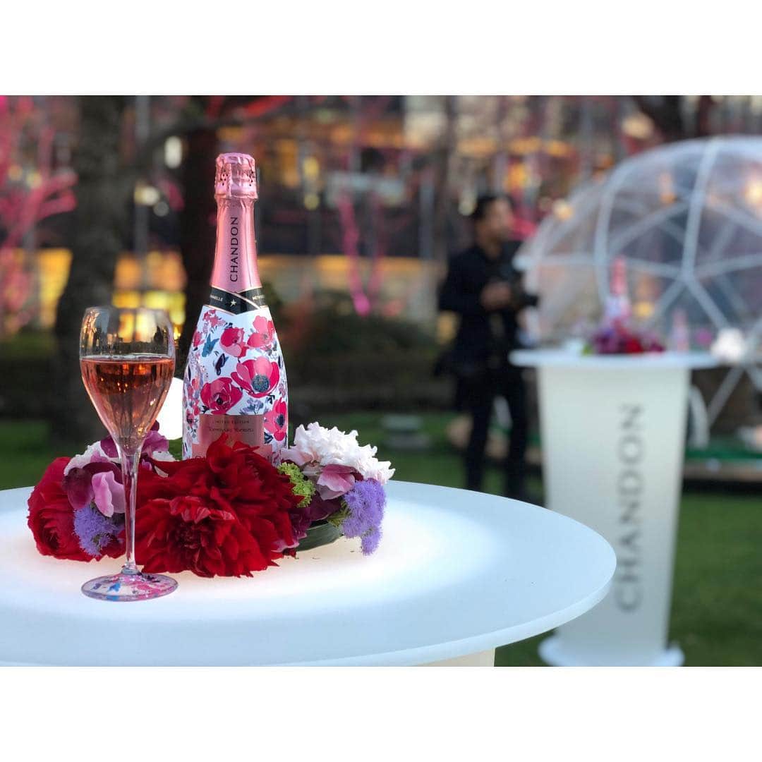 黒澤まさ美さんのインスタグラム写真 - (黒澤まさ美Instagram)「. 【SWIPE→→】 「CHANDON BLOSSOM LOUNGE 」のオープニングセレモニーにて、美女達と一足お先に#お花見 気分を味わってきました🌸会場全体がピンク色にライトアップされてとっても可愛い♡#桜 が咲いたらもっとステキになりそうな予感です😌✨ #六本木 の#東京ミッドタウン ガーデンで3月15日～4月14日の期間限定で開催しているので、皆さんも足を運んでみてはいかがでしょう🌹 . #お花見シャンドン #OHANAMICHANDON #tokyomidtown  #roppongi  #japan #tokyo #chandon  #cherryblossom  #ohanami #sakura #springhassprung  #シャンドン」3月14日 19時15分 - masami_kurosawa