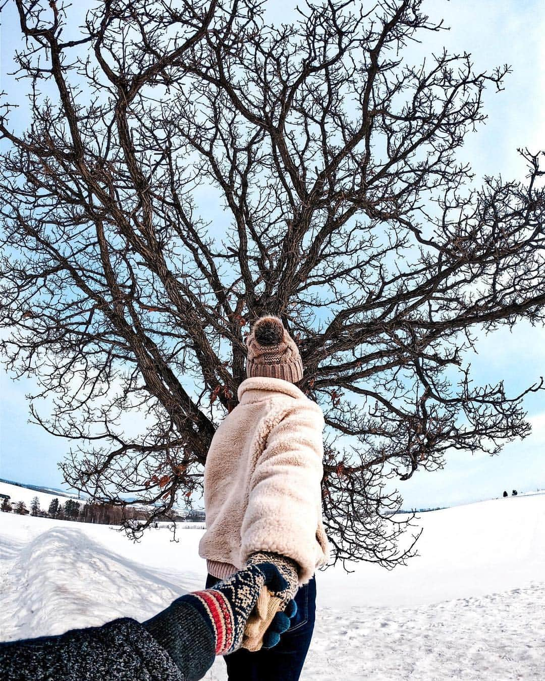 GoProさんのインスタグラム写真 - (GoProInstagram)「冬、裸木となった #セブンスターの木 の独特なシルエット🍂 📷 @nonokahara + #GoProHERO7 Black ・ ・ ・ #GoPro #GoProJP #GoProSnow #GoProのある生活 #FollowMeTo #北海道 #美瑛 #カップル #木 #裸木 #雪」3月14日 19時19分 - goprojp