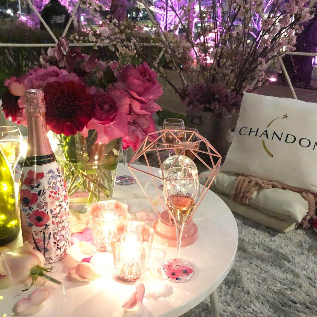 KAORI.OMURA 大村香織さんのインスタグラム写真 - (KAORI.OMURA 大村香織Instagram)「そろそろお花見🌸の季節ですね ・ 今日は六本木の東京ミッドタウンガーデンの「CHANDON BLOSSOM LOUNGE 」のオープニングセレモニーに🥂 ・ ピンク色に包まれた空間でお花見ができる毎年人気のお花見スポット🌸🌸🌸 ・ もう少ししたら🌸は咲きそうです☺︎ ・ 4月14日まで開催されるので可愛いお花見是非行ってみてください☺︎ ・ 満開の時にまた行こうかな♪ ・ 今夜はみんなピンクを身につけて更に可愛いかった♡ ・ #お花見シャンドン #OHANAMICHANDON#お花見#六本木#cherryblossom #夜桜#flower #春#spring#アラフォー#moet #モエ #pink#ミッドタウン#東京ミッドタウン#港区#港区イベント#桜#桜好き #六本木ミッドタウンガーデン#綺麗#ピンクの世界#花#花のある暮らし」3月14日 19時49分 - kaori.omura