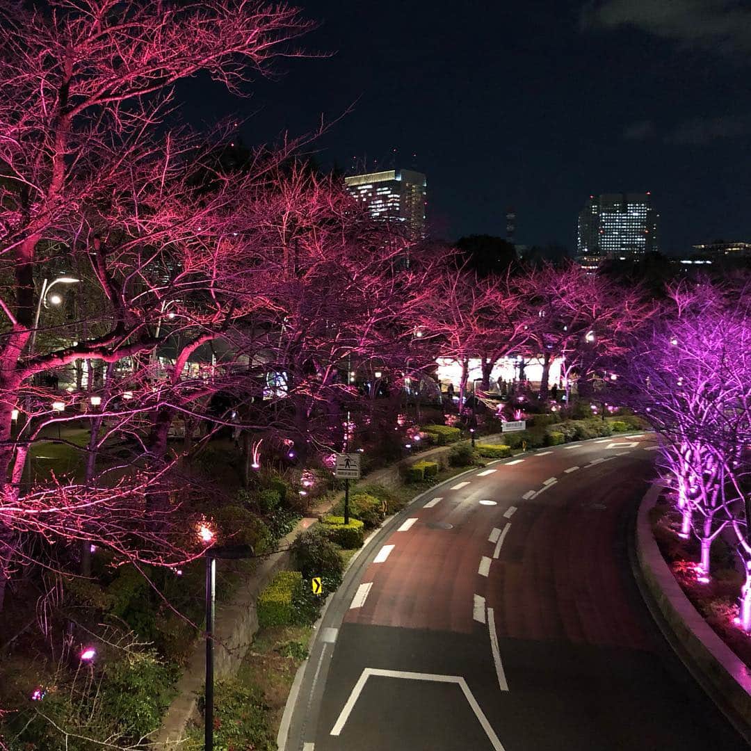 KAORI.OMURA 大村香織さんのインスタグラム写真 - (KAORI.OMURA 大村香織Instagram)「そろそろお花見🌸の季節ですね ・ 今日は六本木の東京ミッドタウンガーデンの「CHANDON BLOSSOM LOUNGE 」のオープニングセレモニーに🥂 ・ ピンク色に包まれた空間でお花見ができる毎年人気のお花見スポット🌸🌸🌸 ・ もう少ししたら🌸は咲きそうです☺︎ ・ 4月14日まで開催されるので可愛いお花見是非行ってみてください☺︎ ・ 満開の時にまた行こうかな♪ ・ 今夜はみんなピンクを身につけて更に可愛いかった♡ ・ #お花見シャンドン #OHANAMICHANDON#お花見#六本木#cherryblossom #夜桜#flower #春#spring#アラフォー#moet #モエ #pink#ミッドタウン#東京ミッドタウン#港区#港区イベント#桜#桜好き #六本木ミッドタウンガーデン#綺麗#ピンクの世界#花#花のある暮らし」3月14日 19時49分 - kaori.omura
