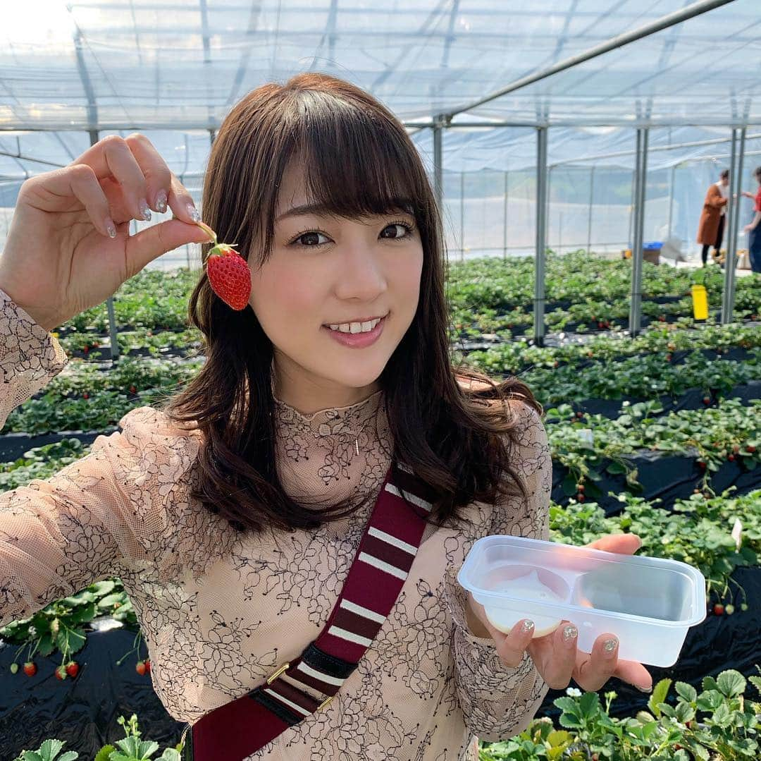 佐々木もよこさんのインスタグラム写真 - (佐々木もよこInstagram)「数年ぶりにいちご狩りに行ってきたよ😋🍓﻿ ﻿ こんなにおいしいたくさんの種類のいちごが好きなだけ食べられるなんて、本当に最高よ🥺💓﻿ ﻿ 今日は30分で36個食べました😛😛💕﻿ ﻿ 幸せだぁ〜✨✨﻿ ﻿ ﻿ だんだんとあったかくなってきて最高❤️﻿ まだまだ夜は思ってるより寒いから気をつけようね😾‼️🍕✨﻿ ﻿ ﻿ ﻿ ﻿ ﻿ #いちご狩り #いちご#いちご🍓 #ファッション#コーディネート#デニムコーデ #snidel#strawberry#marcjacobs #fashion#instafashion#fashionista」3月14日 21時00分 - moyoko_atom