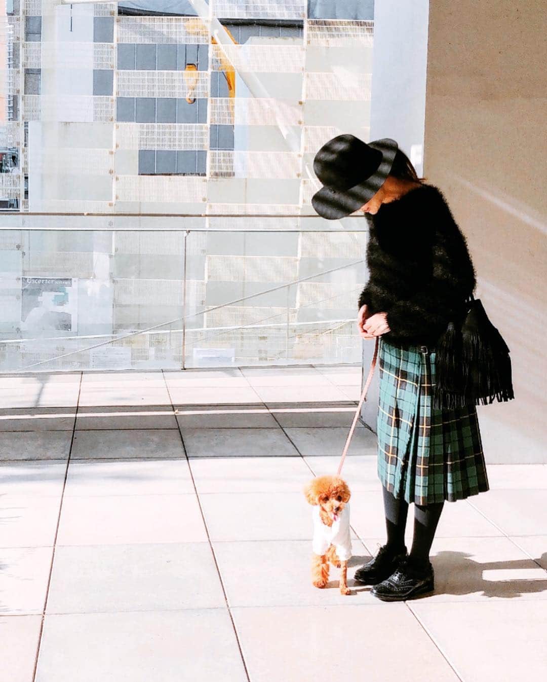 カオルコさんのインスタグラム写真 - (カオルコInstagram)「🐶❤だっこしてよ〜  #fashion #maisonmichel #marjour #gucci #churchs #zara #dog #犬のいる暮らし #トイプードル #Kくん #リハビリ中」3月14日 21時01分 - ka_ruk_