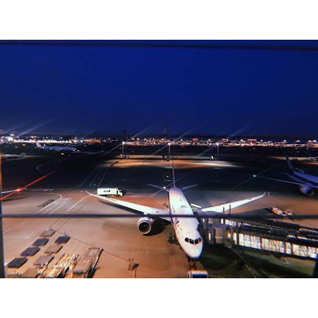 森咲樹さんのインスタグラム写真 - (森咲樹Instagram)「今日はね、羽田空港へ行ってきたよ〜☺️﻿ ショッピングモールへ行く感覚で（笑）。﻿ ﻿ 離着する飛行機を眺めて、﻿ コーヒー飲んで、﻿ Instagramの質問コーナーに答えて、﻿ フランス語勉強してただけ😂﻿ ﻿ あとは、﻿ JALカードとANAカードの申込書類を﻿ 読んでたくらい😂﻿ ﻿ 空港って夢があって、﻿ 居るだけでワクワクしちゃう🥺﻿ 世界と日本を繋いでいる場所だもーん✈️﻿ ﻿ ﻿ Aujourd'hui je suis allée à l'aéroport de Haneda:)﻿ Mais j’ai ne pris pas l'avion. 😂﻿ J'ai vu beaucoup d’avion, j’ai bu du café, j’ai répondu de question sur Instagram, j’ai étudié le français...c’est toute. ﻿ J’adore aller à l’aéroport donc je tressaillie de joie. ﻿ ﻿ #羽田空港 #羽田空港国際線ターミナル #hanedaairport #hanedaaeroport  #aeroport #japan #japon #haneda #avion #sakura」3月14日 21時30分 - mori_saki_official