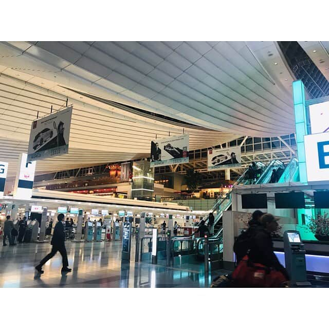 森咲樹さんのインスタグラム写真 - (森咲樹Instagram)「今日はね、羽田空港へ行ってきたよ〜☺️﻿ ショッピングモールへ行く感覚で（笑）。﻿ ﻿ 離着する飛行機を眺めて、﻿ コーヒー飲んで、﻿ Instagramの質問コーナーに答えて、﻿ フランス語勉強してただけ😂﻿ ﻿ あとは、﻿ JALカードとANAカードの申込書類を﻿ 読んでたくらい😂﻿ ﻿ 空港って夢があって、﻿ 居るだけでワクワクしちゃう🥺﻿ 世界と日本を繋いでいる場所だもーん✈️﻿ ﻿ ﻿ Aujourd'hui je suis allée à l'aéroport de Haneda:)﻿ Mais j’ai ne pris pas l'avion. 😂﻿ J'ai vu beaucoup d’avion, j’ai bu du café, j’ai répondu de question sur Instagram, j’ai étudié le français...c’est toute. ﻿ J’adore aller à l’aéroport donc je tressaillie de joie. ﻿ ﻿ #羽田空港 #羽田空港国際線ターミナル #hanedaairport #hanedaaeroport  #aeroport #japan #japon #haneda #avion #sakura」3月14日 21時30分 - mori_saki_official