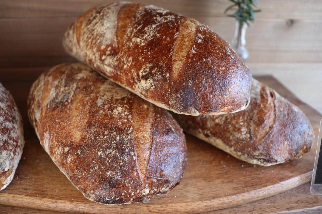 丘の上のパン屋 のグルメインスタ