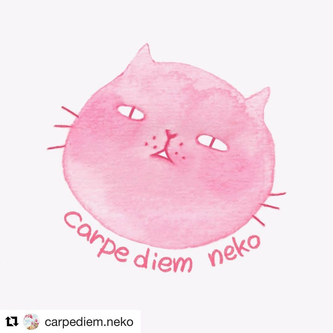 コテツさんのインスタグラム写真 - (コテツInstagram)「2019/3/14 応募します❤︎ #Repost @carpediem.neko with @get_repost ・・・ 皆さん、お元気でしょうか。 コメント＆いいね、いつもありがとうございます！ . 仕事でバタバタしててなかなか返事できなくてごめんなさいTT_TT💦 . まだ発表はできませんが 4月半ばに関西のイベントに参加することになりました！ . 自分は初日の１日しかいられませんが 皆さんにお会いできるのが楽しみです✨ . そこで出品するイラストに ちょこっとモデルとして登場したいにゃんこちゃん！（フォロワーさまに限ります） . ✨こちらのポストをリポストかスクショ ✨#min関西へ行く ✨#carpediemneko をつけてご応募ください。 . 人形風にアレンジされるかも！ . 時間が許す限り描きますが たくさんは描けないかもしれません…ご了承ください😱💦 . 期限は4月7日まで！！ . イベント情報解禁になったらまた告知いたしますね💕 よろしくお願いします。」3月14日 21時45分 - kotetuchan