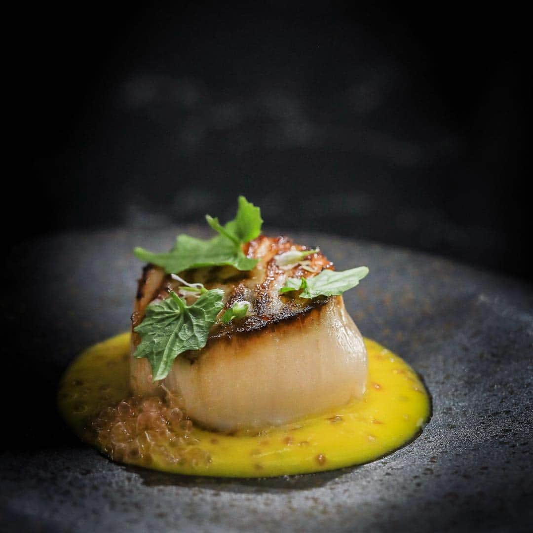 ゴードン・ラムゼイさんのインスタグラム写真 - (ゴードン・ラムゼイInstagram)「So excited to give you guys a @luckycatbygordonramsay sneak preview..... Orkney Scallop with yuzu and sweetcorn hot sauce, finger lime and wasabi leaves Gx #LuckyCatMayfair」3月14日 22時02分 - gordongram