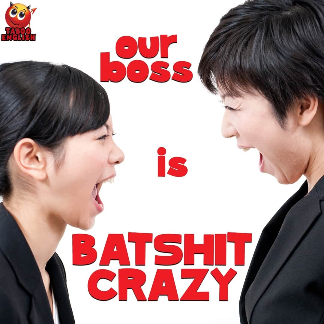 Taboo English®さんのインスタグラム写真 - (Taboo English®Instagram)「店長さんは 完全に狂気です。どうしよう❓❓❓BATSHIT CRAZY • • • • #tabooenglish #日本語 #仕事 #課長 #店長 #batshitcrazy #fuckingcrazy #insane #日本 #日本人 #困る #会社 #店 #helpme」3月14日 22時32分 - tabooenglish