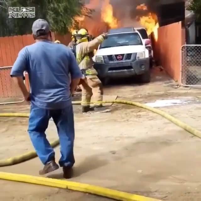 WildLifeのインスタグラム：「This shocking cellphone video captures Jose Guzman rushing past firefighters and into his burning home looking frantically for his dog. Just moments later, both of them run out.🐕🙏 ➖ Video by Adam Guzman Found via @kusinews ➖ #earth #dog #california #pet #rescue #earthpix #wonderful #photography #wildfire #vacations #love #travel #nature #geography #animals #adventure #natgeo #discover #worldwide #explore #landscape #instagram #africa #canada #Switzerland #cute #awesome #wildlife #world #amazing」