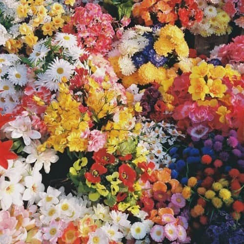 エミリー・ラッドのインスタグラム：「idk this pic just makes me happy (via pinterest holla if it’s yours)」