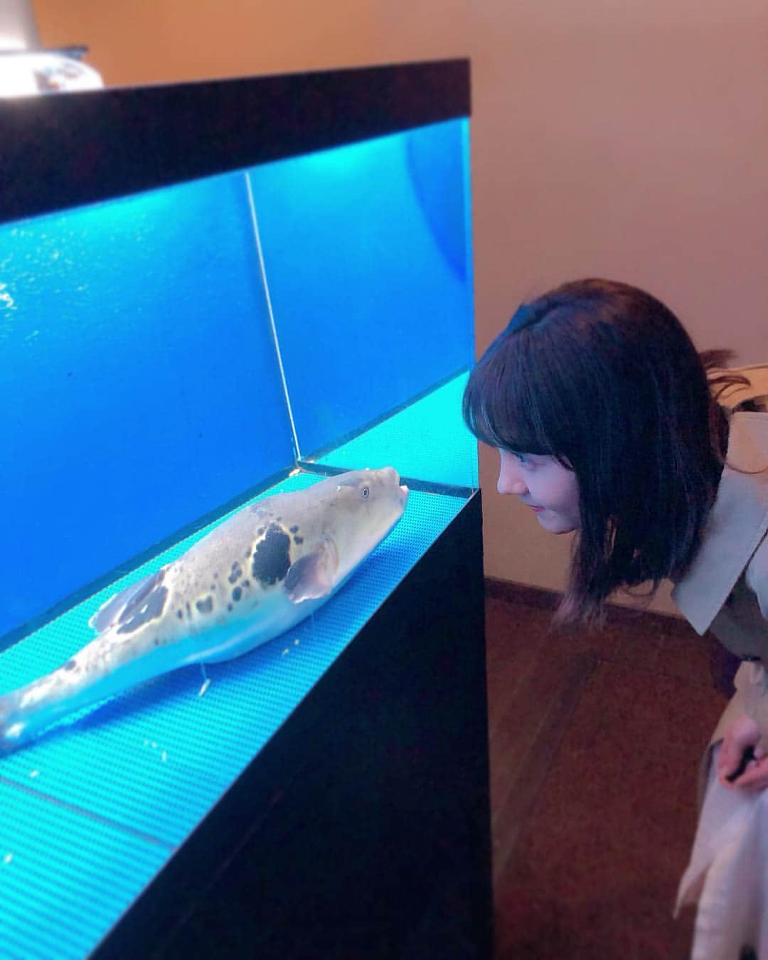 トリンドル玲奈さんのインスタグラム写真 - (トリンドル玲奈Instagram)「ふぐ🐡と。」3月14日 22時49分 - toritori0123