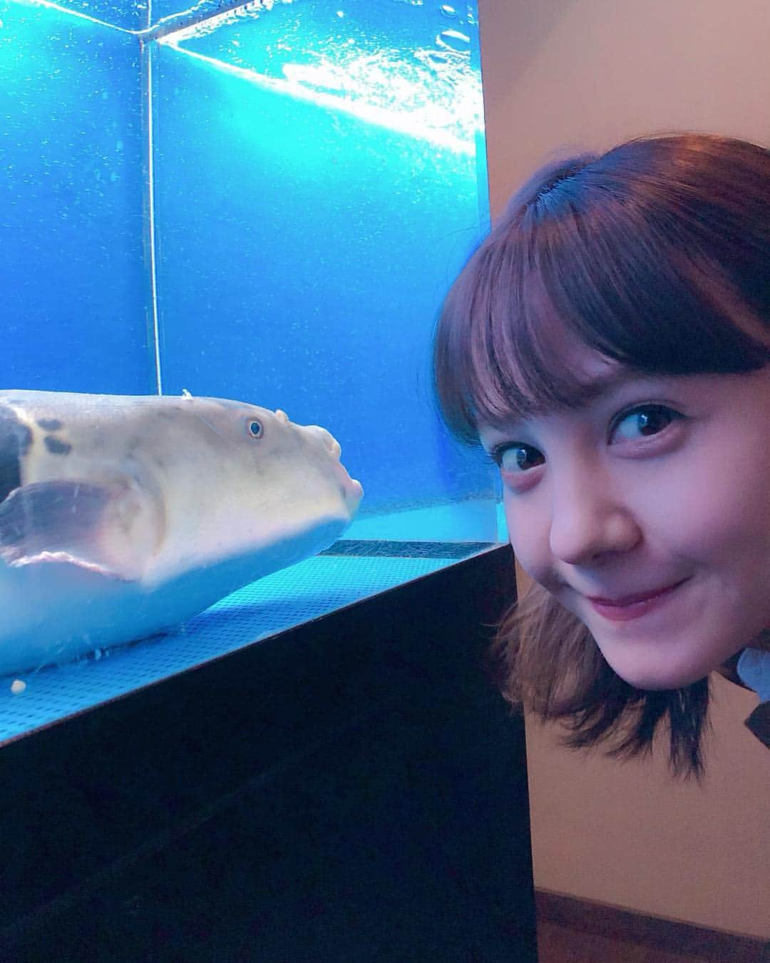 トリンドル玲奈さんのインスタグラム写真 - (トリンドル玲奈Instagram)「ふぐ🐡と。」3月14日 22時49分 - toritori0123