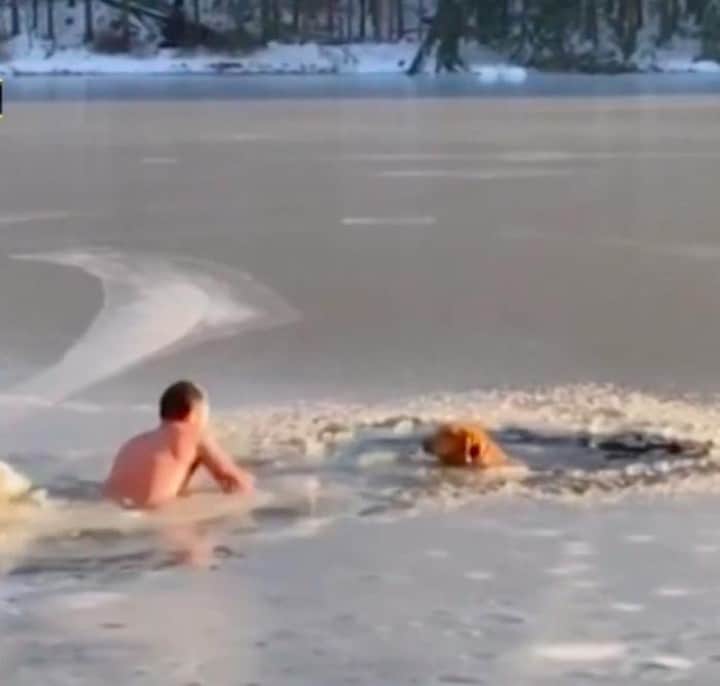 VICEさんのインスタグラム写真 - (VICEInstagram)「A New Yorker was by a frozen reservoir recently when he noticed that two dogs had fallen through the ice—so he jumped in and saved them. 🐶 😭 Watch video of the rescue at the link in bio. 📸 via NBC 4」3月14日 22時50分 - vice