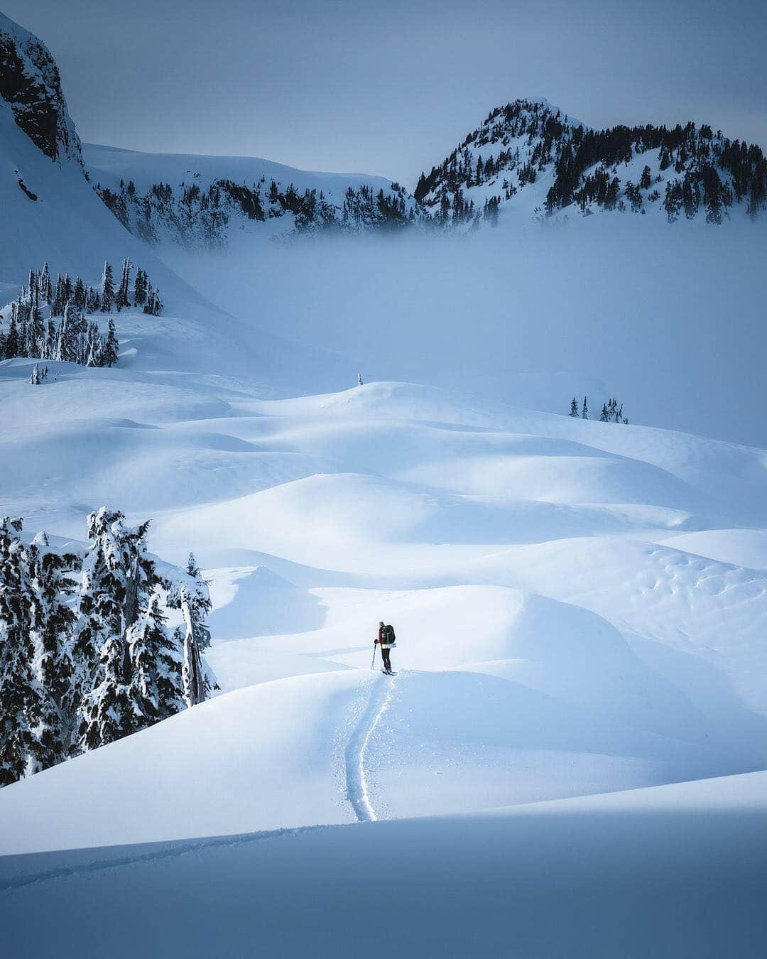 エディー・バウアーさんのインスタグラム写真 - (エディー・バウアーInstagram)「Hi everyone, @matthewhahnel here and I'll be taking over the @eddiebauer feed for the next few posts. If you have looked at the Instagram stories currently up on this page, I have shared a recent trip that @reneeroaming and I made out into the Washington mountains for some winter camping. As we were hiking up we were completely covered in cloud. Visibility was maybe 50 feet, but we used GPS to make our way to the top safely. We hiked along the ridge looking for the perfect campsite, which proved a challenge in the limited visibility. As luck would have it, the clouds cleared and we were treated to this epic scene. A moment I'll never forget that's for sure. #LiveYourAdventure」3月14日 23時02分 - eddiebauer