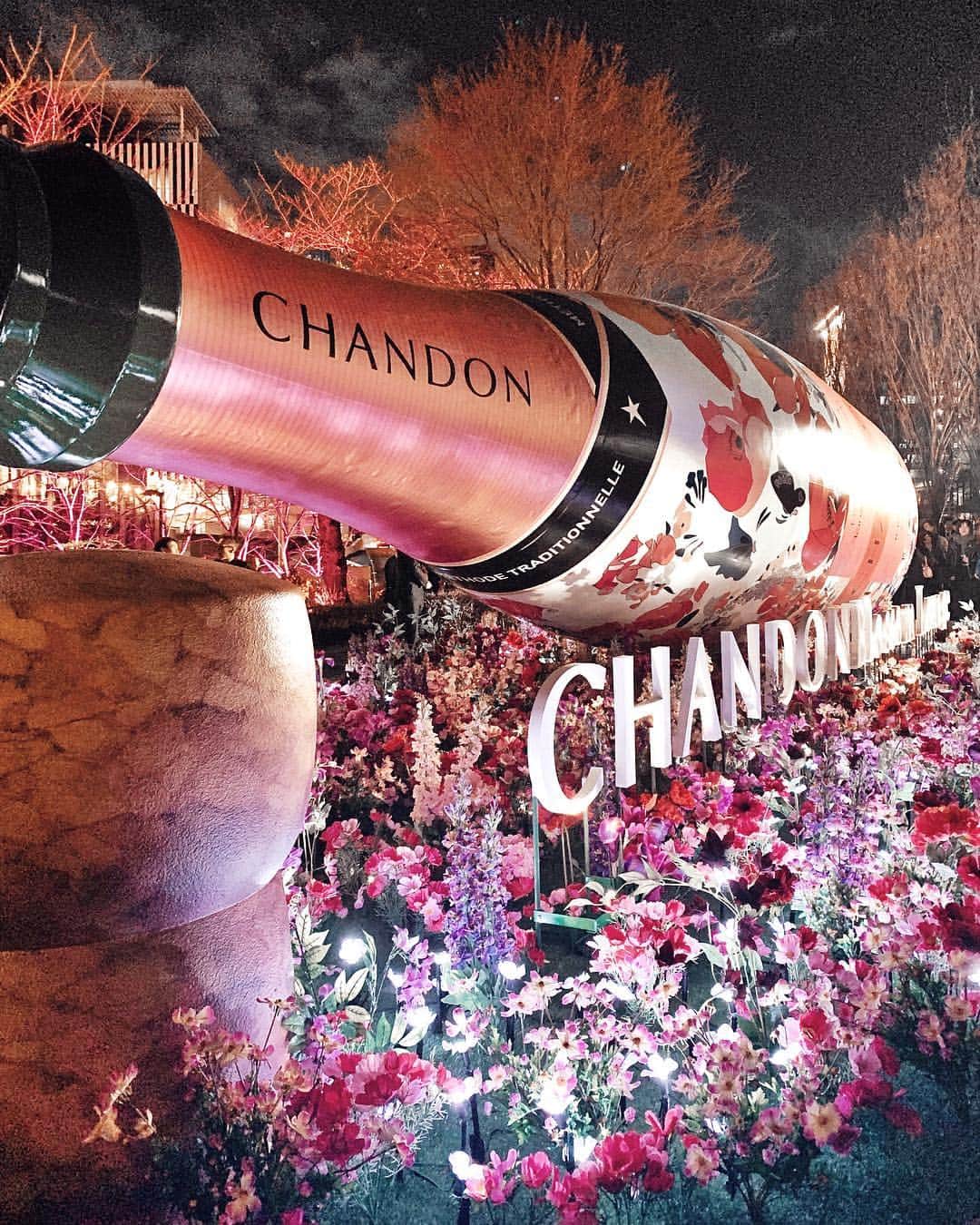 神林真里さんのインスタグラム写真 - (神林真里Instagram)「CHANDON BLOSSOM LOUNGE 🌸🥂﻿ ﻿ ﻿ ﻿ #六本木 の #東京ミッドタウンガーデン で開催する﻿ 「CHANDON BLOSSOM LOUNGE 」﻿ のオープニングセレモニーに参加させていただきました🌸﻿ ﻿ ﻿ ピンクにライトアップされた素敵な空間で CHANDONとリッツカールトンのお料理を味わってきました😋🥂🌸 ﻿ ﻿ 明日から4月14日までやっているので、﻿ 遊びに行ってみてくださいね！﻿ ﻿ ﻿ ﻿ ﻿ ﻿ ﻿ ﻿ ﻿ ﻿ ﻿ ﻿ ﻿ ﻿ ﻿ ﻿ #お花見シャンドン #OHANAMICHANDON #CHANDON #tokyomidtown #roppongi #ohanami #instadrink #instaparty #シャンドン #スパークリングワイン #お花見 #六本木ミッドタウン #桜 #櫻花 #今日のコーデ」3月14日 23時03分 - maripo_jp