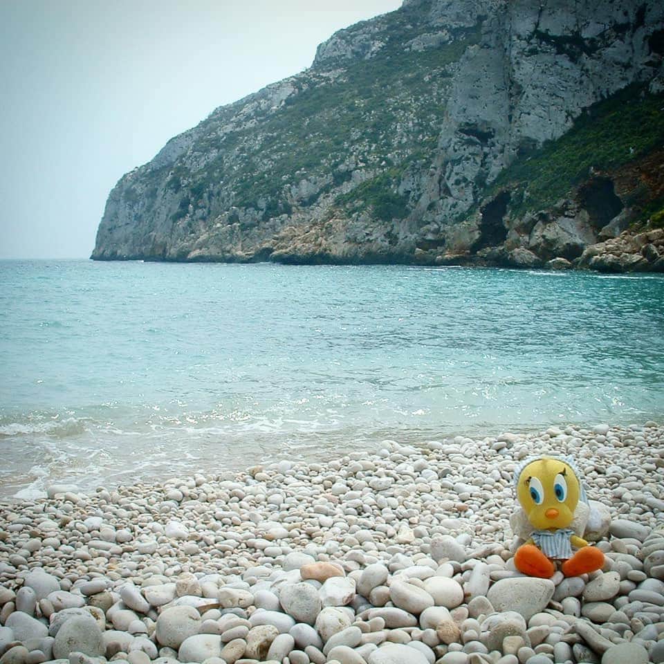 Little Yellow Birdさんのインスタグラム写真 - (Little Yellow BirdInstagram)「It's #throwbackthursday and since the weather is still awful, let's go back to sunnier times: Granadella, Spain, 2007. Look at that beach bod, I was so young there!! #littleyellowbird #tweety #tweetykweelapis #adventures #yellow #bird #throwback #thursday #beach #strand #sun #beachbody #spain #granadella #sea #ocean #bluesky #bluewater #travel #stuffedanimalsofinstagram #plushiesofinstagram」3月14日 23時23分 - tweetykweelapis