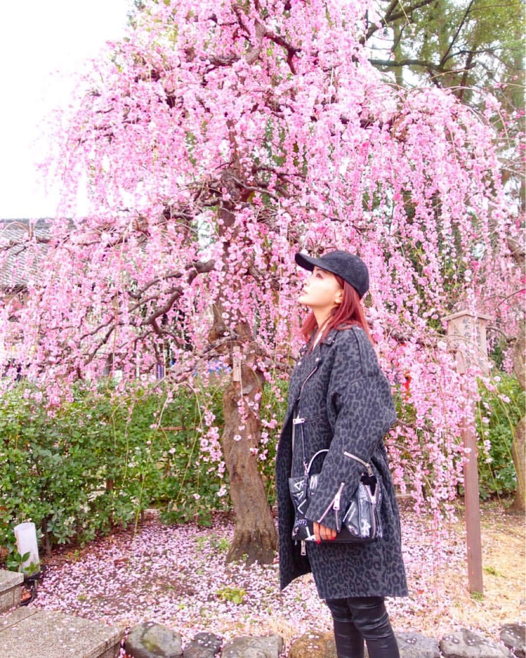 平子理沙さんのインスタグラム写真 - (平子理沙Instagram)「The plum blossoms were in full bloom in Kyoto🌸 ピンクの世界に囲まれて、うっとり気分でございまする💕 #北野天満宮#plumblossoms#梅#kyoto#京都#travel #fashion #beauty #lifestyle #risahirako#平子理沙」3月14日 23時32分 - risa_hirako