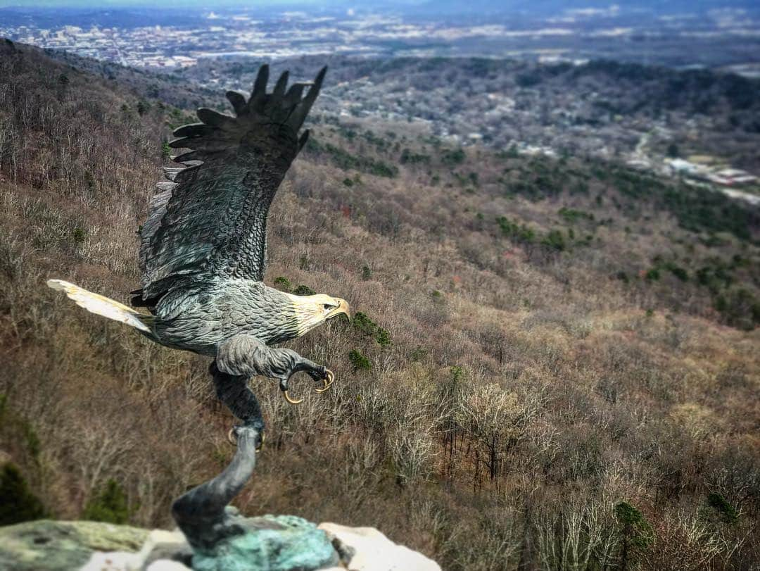 クリス・ドートリーさんのインスタグラム写真 - (クリス・ドートリーInstagram)「Had the most amazing experience being outdoors with my tribe yesterday at @seerockcity  #natureaf #rockcity #grateful」3月14日 23時32分 - chrisdaughtry