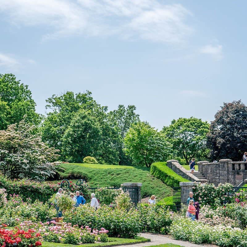 ニューヨーク植物園さんのインスタグラム写真 - (ニューヨーク植物園Instagram)「As we near the first day of spring, we’ve got roses on the brain. We can’t wait for the first buds to open in the Peggy Rockefeller Rose Garden. And with a new documentary premiering at NYBG this Friday (still a few tickets left!) that details the incredible accomplishments of Beatrix Farrand, the designer of this historic garden, we thought a little preview of what’s to come couldn’t hurt. Farrand was one of the most influential and innovative garden designers of the early 20th century, and a woman pioneer in the field. Here’s to a beautiful season! #WomensHistoryMonth」3月14日 23時59分 - nybg