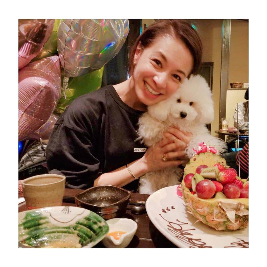 稲沢朋子さんのインスタグラム写真 - (稲沢朋子Instagram)「Happy✨happy❤️HAPPY☺️ thank you💕 #いぬ #犬 #家族」3月15日 0時23分 - ina_tomo